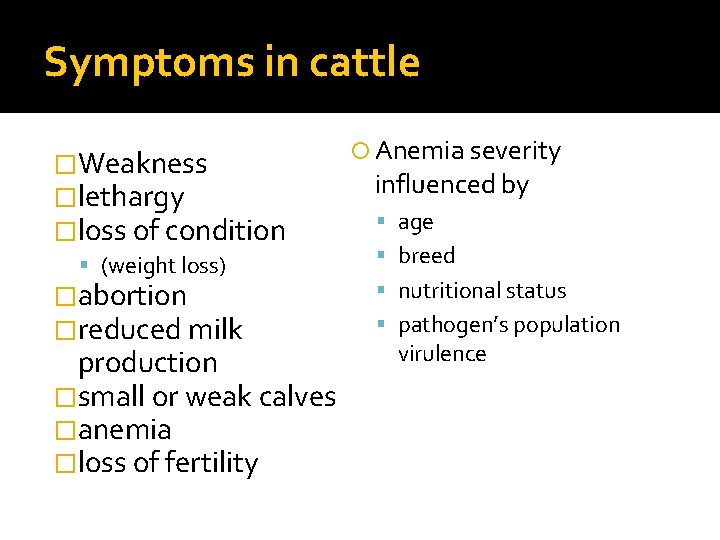 Symptoms in cattle �Weakness �lethargy �loss of condition (weight loss) �abortion �reduced milk production