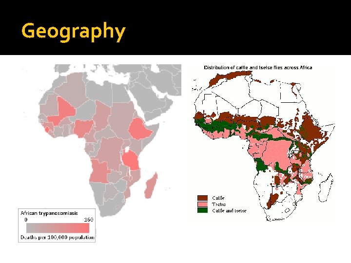 Geography 