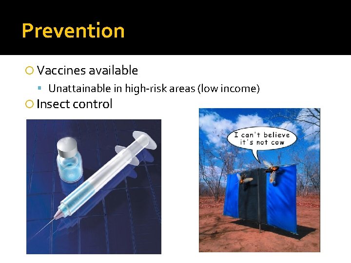 Prevention Vaccines available Unattainable in high-risk areas (low income) Insect control 