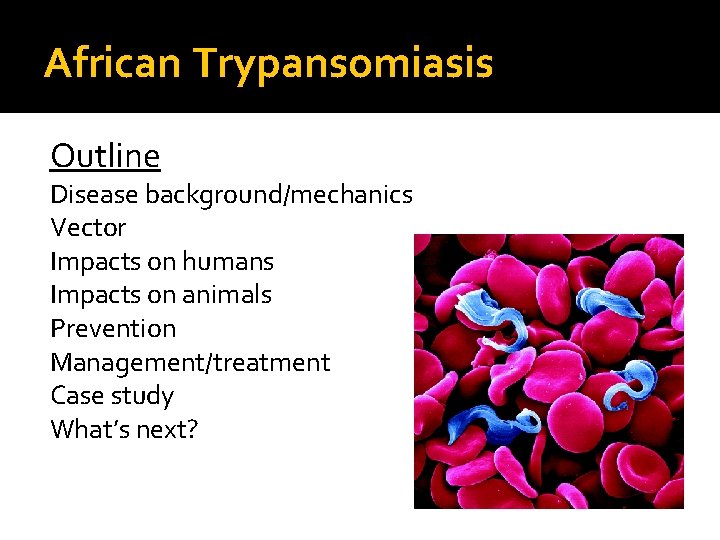 African Trypansomiasis Outline Disease background/mechanics Vector Impacts on humans Impacts on animals Prevention Management/treatment