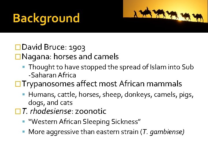 Background �David Bruce: 1903 �Nagana: horses and camels Thought to have stopped the spread