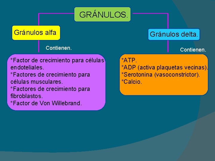 GRÁNULOS. Gránulos alfa Contienen. *Factor de crecimiento para células endoteliales. *Factores de crecimiento para