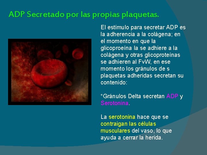 ADP Secretado por las propias plaquetas. El estímulo para secretar ADP es la adherencia
