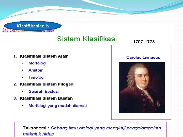 Klasifikasi m. h 1707 -1778 