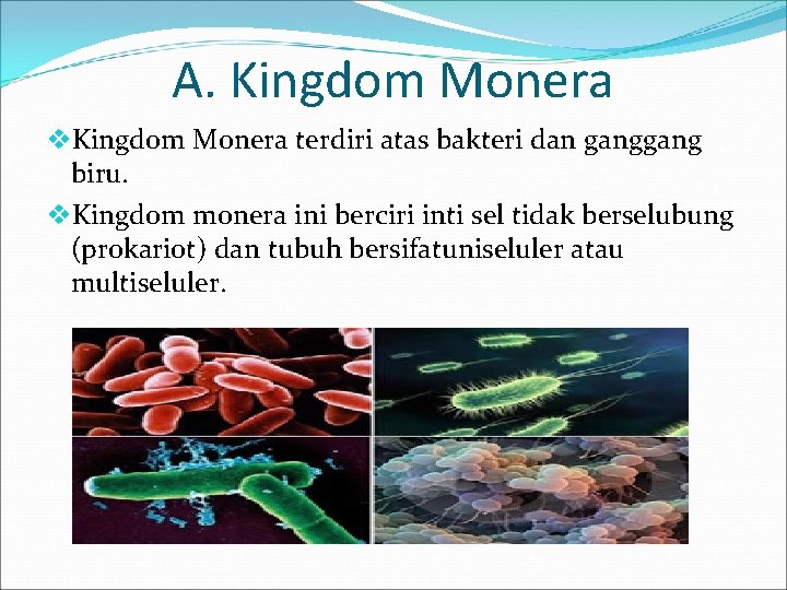 A. Kingdom Monera v. Kingdom Monera terdiri atas bakteri dan gang biru. v. Kingdom