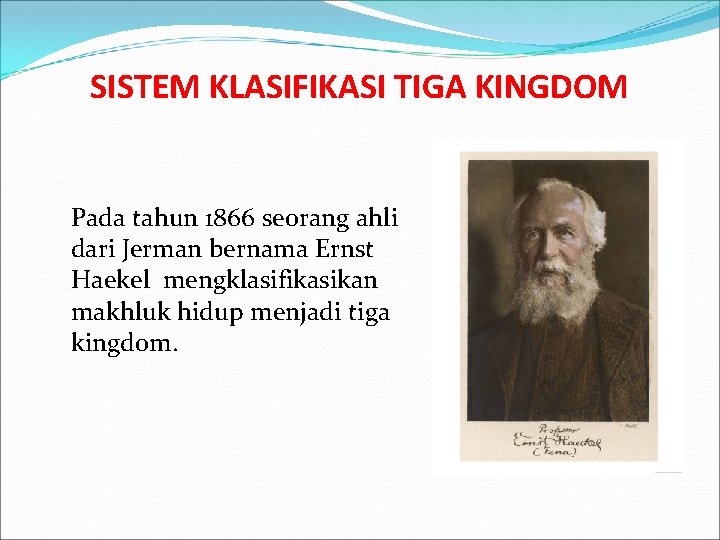 SISTEM KLASIFIKASI TIGA KINGDOM Pada tahun 1866 seorang ahli dari Jerman bernama Ernst Haekel