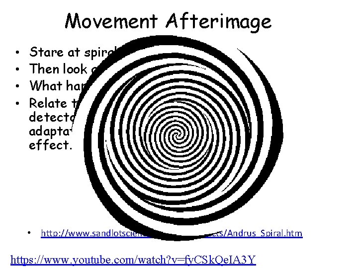 Movement Afterimage • • Stare at spiral. Then look at your hand. What happened? Movement Afterimage • • Stare at spiral. Then look at your hand. What happened?
