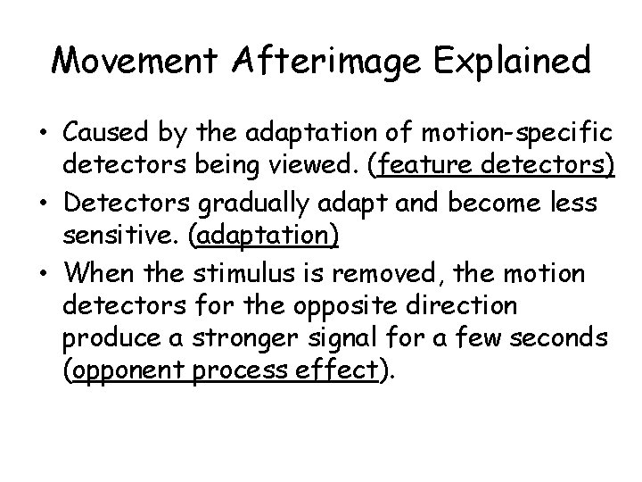 Movement Afterimage Explained • Caused by the adaptation of motion-specific detectors being viewed. (feature Movement Afterimage Explained • Caused by the adaptation of motion-specific detectors being viewed. (feature
