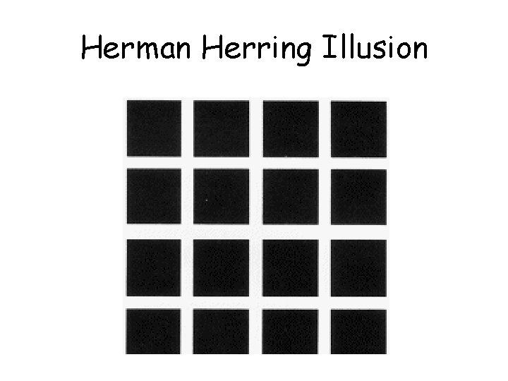 Herman Herring Illusion  Herman Herring Illusion