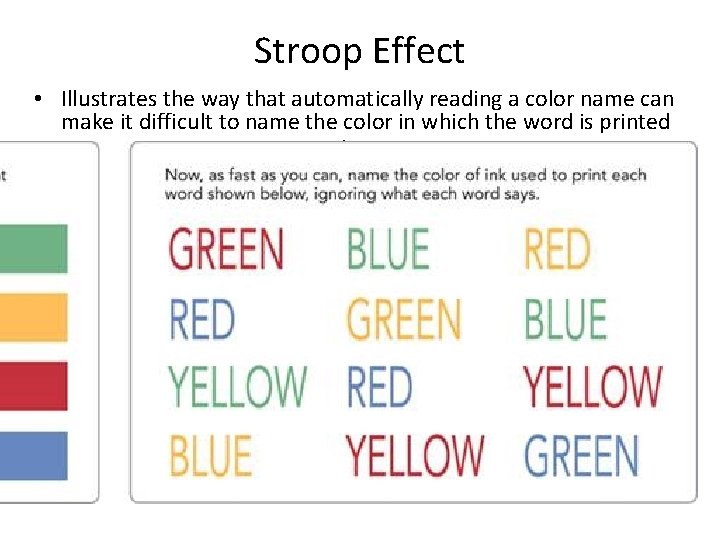 Stroop Effect • Illustrates the way that automatically reading a color name can make Stroop Effect • Illustrates the way that automatically reading a color name can make