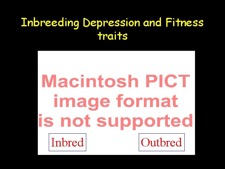 Inbreeding Depression and Fitness traits Inbred Outbred 