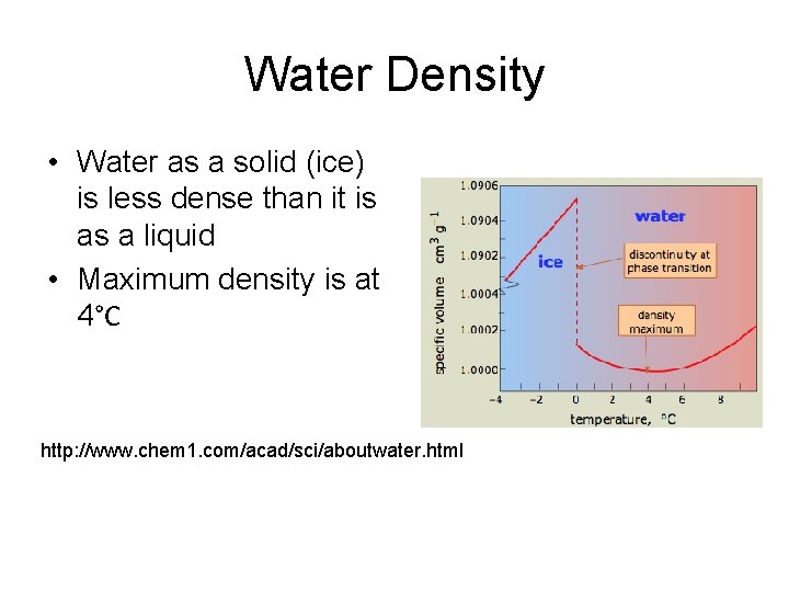Water Density • Water as a solid (ice) is less dense than it is