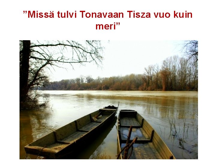 ”Missä tulvi Tonavaan Tisza vuo kuin meri” 