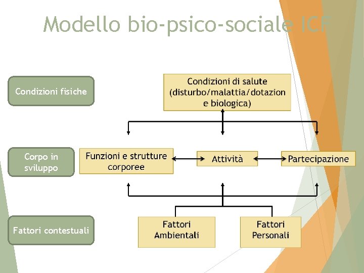 Modello bio-psico-sociale ICF Condizioni fisiche Corpo in sviluppo Fattori contestuali 