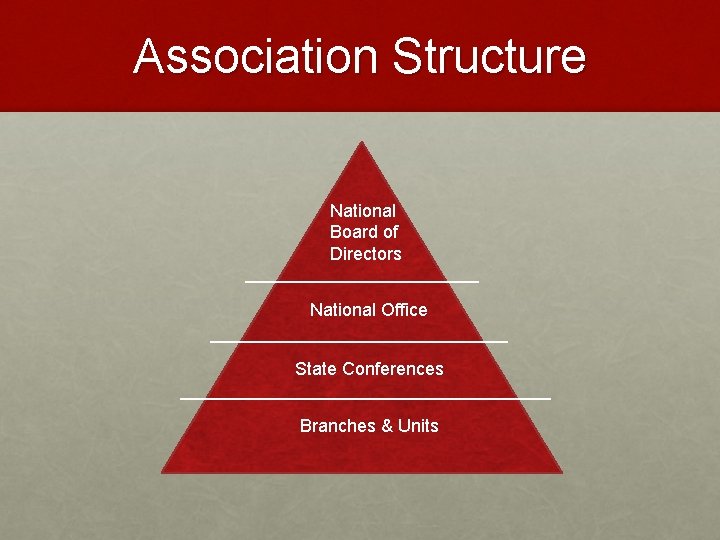 Association Structure National Board of Directors National Office State Conferences Branches & Units 