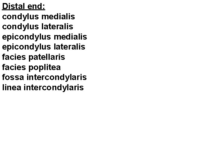 Distal end: condylus medialis condylus lateralis epicondylus medialis epicondylus lateralis facies patellaris facies poplitea