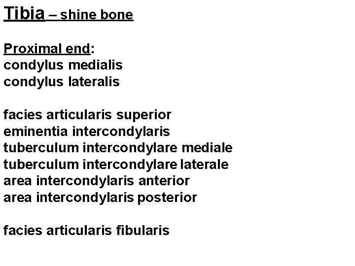 Tibia – shine bone Proximal end: condylus medialis condylus lateralis facies articularis superior eminentia