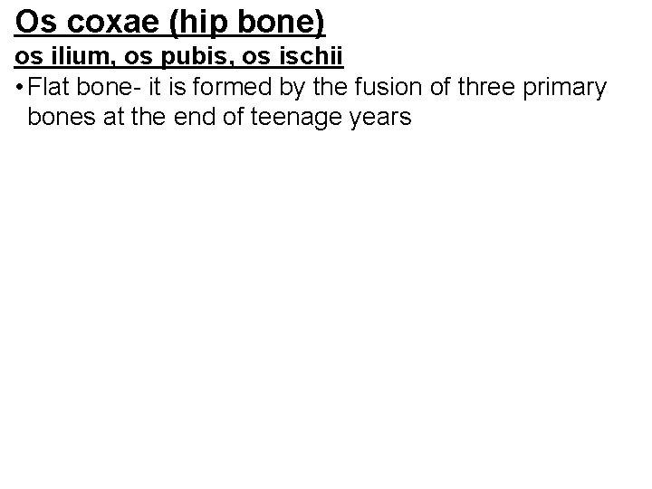 Os coxae (hip bone) os ilium, os pubis, os ischii • Flat bone- it