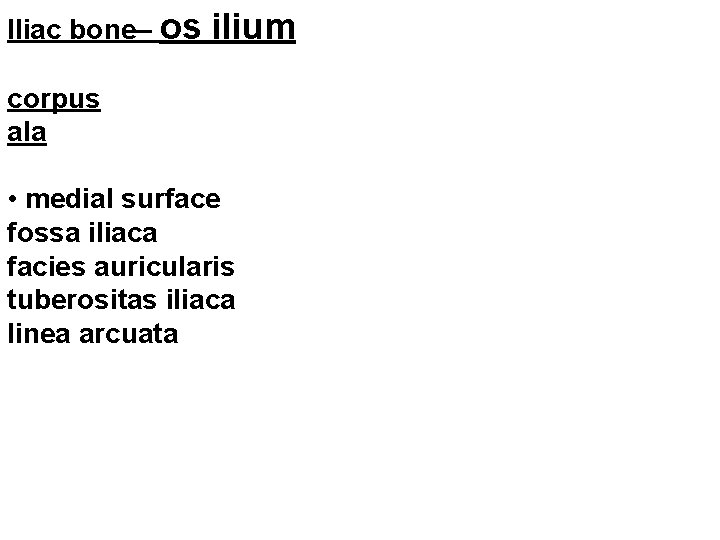 Iliac bone– os ilium corpus ala • medial surface fossa iliaca facies auricularis tuberositas
