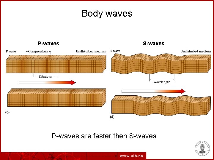 Body waves P-waves S-waves P-waves are faster then S-waves 