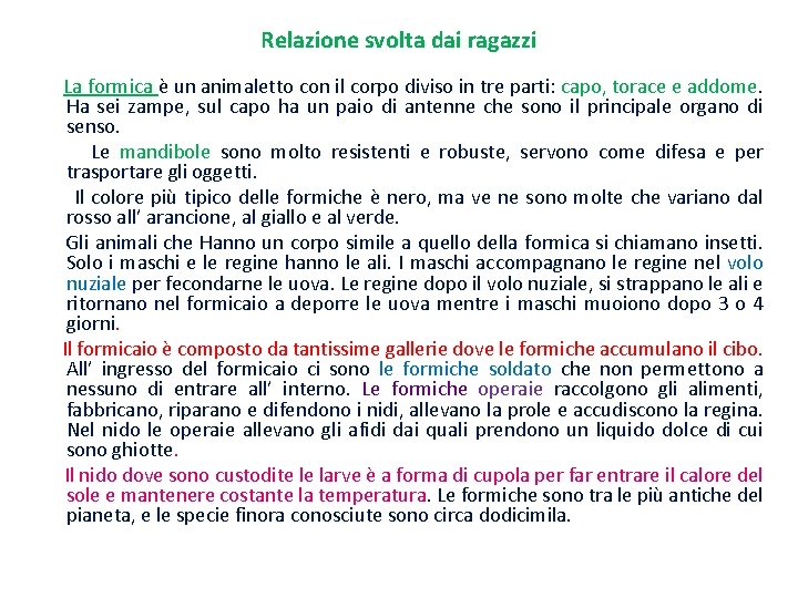 Relazione svolta dai ragazzi La formica è un animaletto con il corpo diviso in