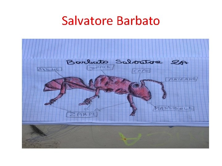 Salvatore Barbato 