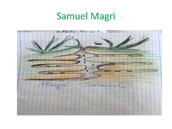 Samuel Magrì 