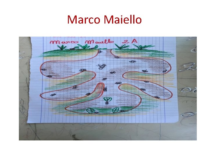 Marco Maiello 