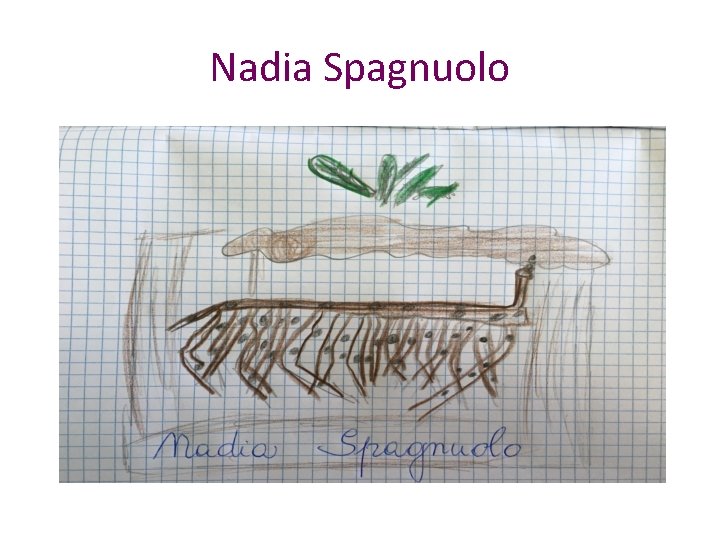 Nadia Spagnuolo 