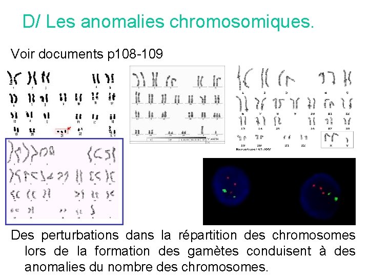 D/ Les anomalies chromosomiques. Voir documents p 108 -109 Des perturbations dans la répartition