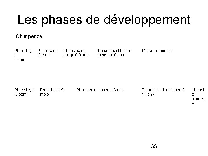 Les phases de développement Chimpanzé Ph embry : 2 sem Ph foetale : 8