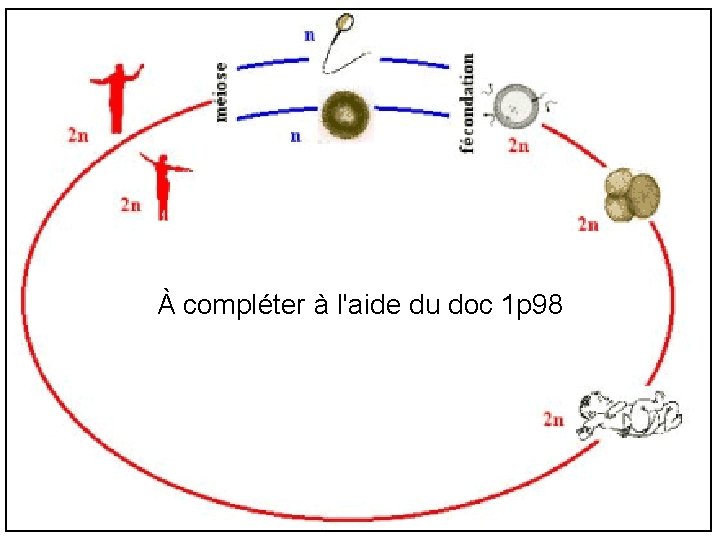 À compléter à l'aide du doc 1 p 98 