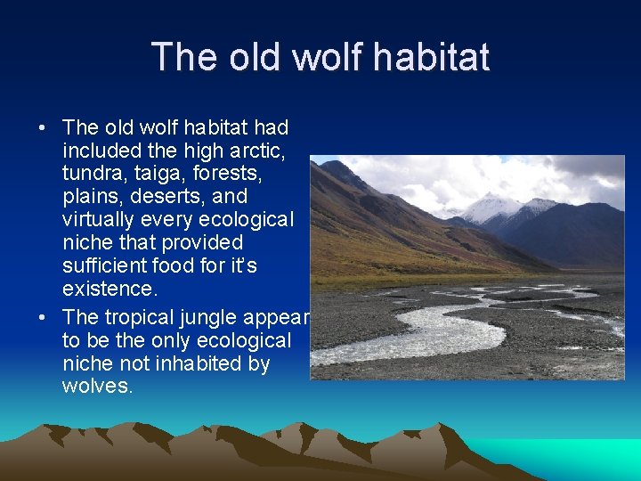 The old wolf habitat • The old wolf habitat had included the high arctic,