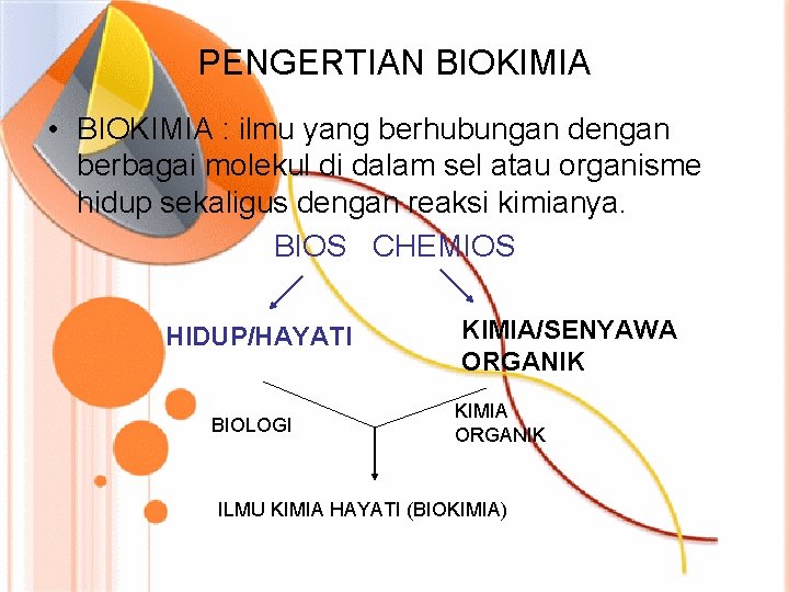 PENGERTIAN BIOKIMIA • BIOKIMIA : ilmu yang berhubungan dengan berbagai molekul di dalam sel
