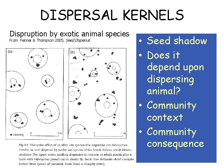 DISPERSAL KERNELS (probability of moving a certain distance during one time unit) Dispruption by