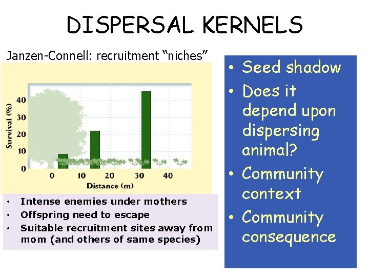 DISPERSAL KERNELS (probability of moving a certain distance during one time unit) Janzen-Connell: recruitment