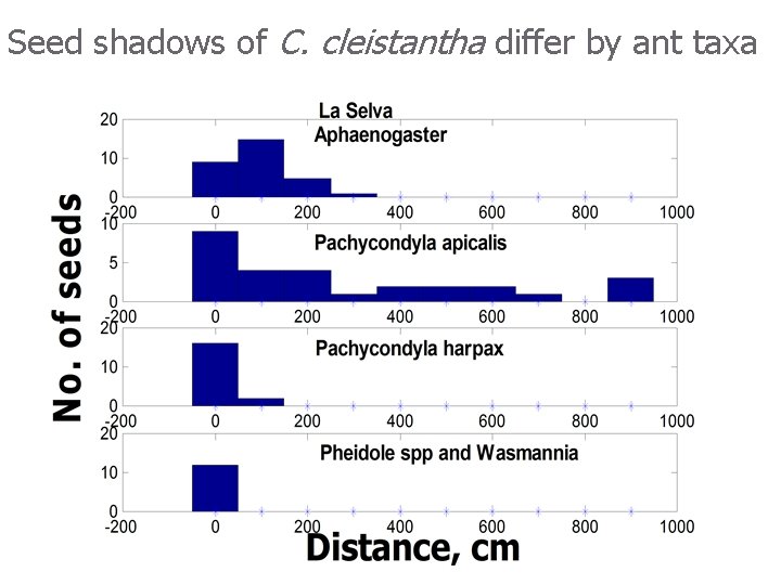 Seed shadows of C. cleistantha differ by ant taxa 