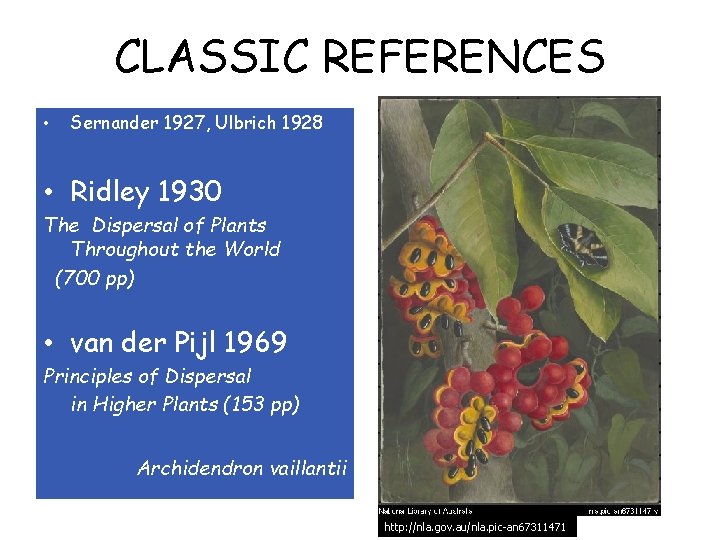 CLASSIC REFERENCES • Sernander 1927, Ulbrich 1928 • Ridley 1930 The Dispersal of Plants