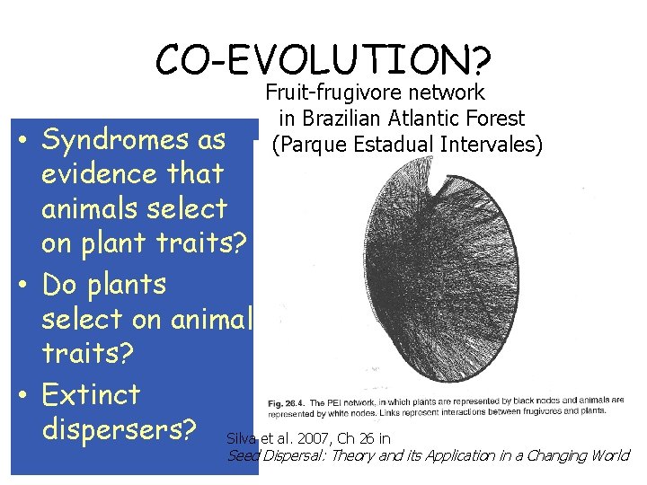 CO-EVOLUTION? Fruit-frugivore network in Brazilian Atlantic Forest (Parque Estadual Intervales) • Syndromes as evidence