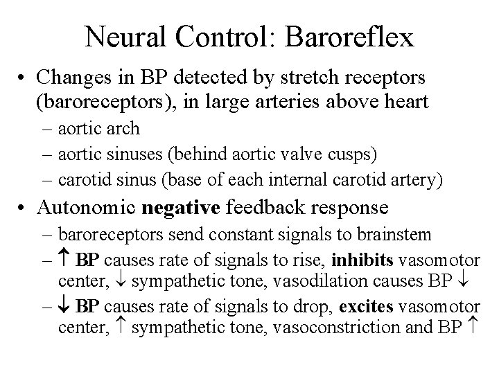 Neural Control: Baroreflex • Changes in BP detected by stretch receptors (baroreceptors), in large