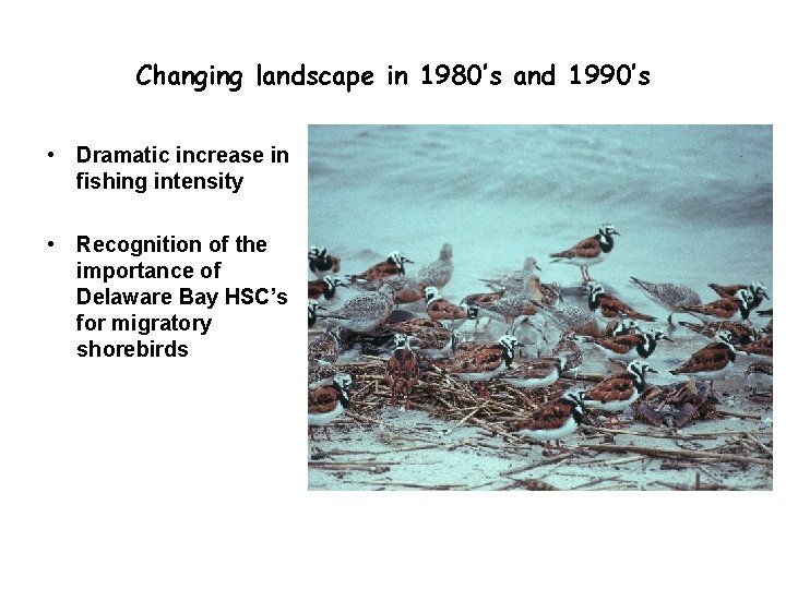 Changing landscape in 1980’s and 1990’s • Dramatic increase in fishing intensity • Recognition