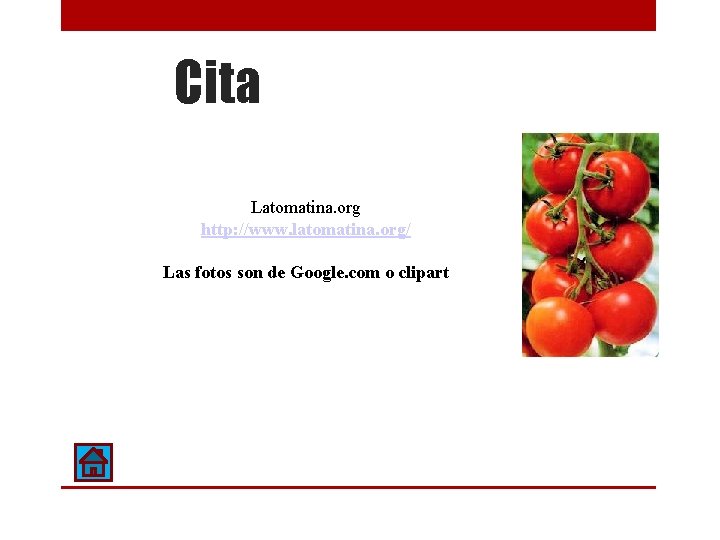 Cita Latomatina. org http: //www. latomatina. org/ Las fotos son de Google. com o