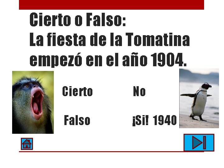 Cierto o Falso: La fiesta de la Tomatina empezó en el año 1904. Cierto