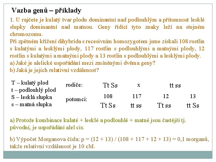 Vazba genů – příklady 1. U rajčete je kulatý tvar plodu dominantní nad podlouhlým