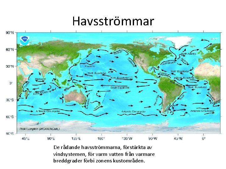 Havsströmmar De rådande havsströmmarna, förstärkta av vindsystemen, för varm vatten från varmare breddgrader förbi