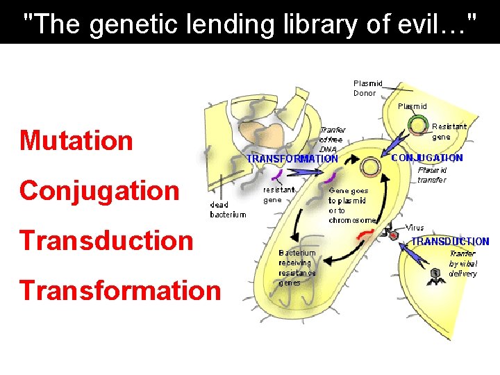 "The genetic lending library of evil…" Mutation Conjugation Transduction Transformation 