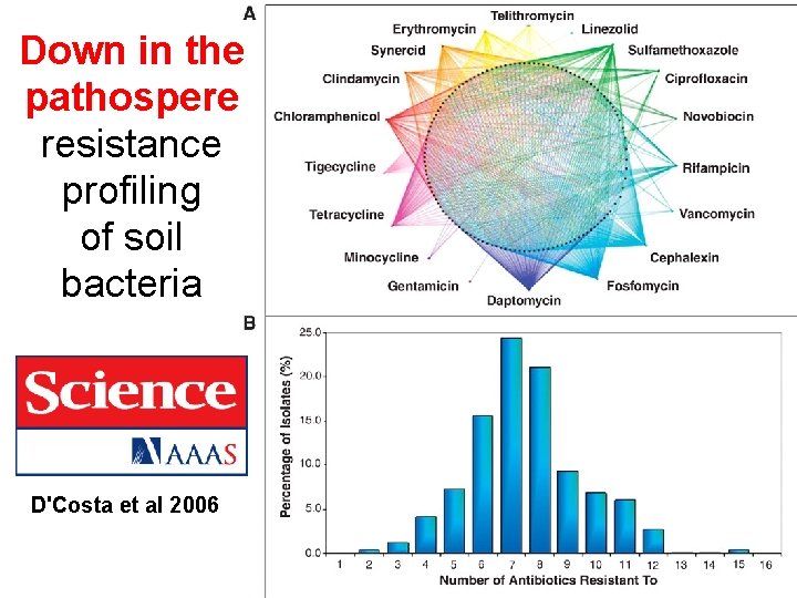 Down in the pathospere resistance profiling of soil bacteria D'Costa et al 2006 