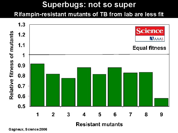 Superbugs: not so super Rifampin-resistant mutants of TB from lab are less fit Gagneux,