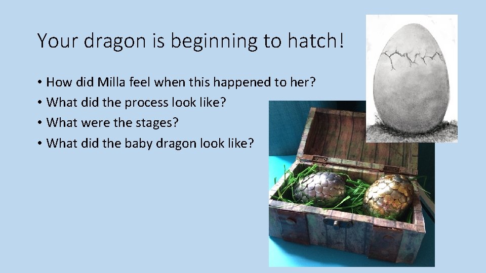 Your dragon is beginning to hatch! • How did Milla feel when this happened
