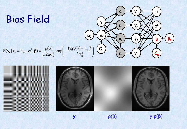 Bias Field g a 0 a Ca y r(b) c 1 y 1 m